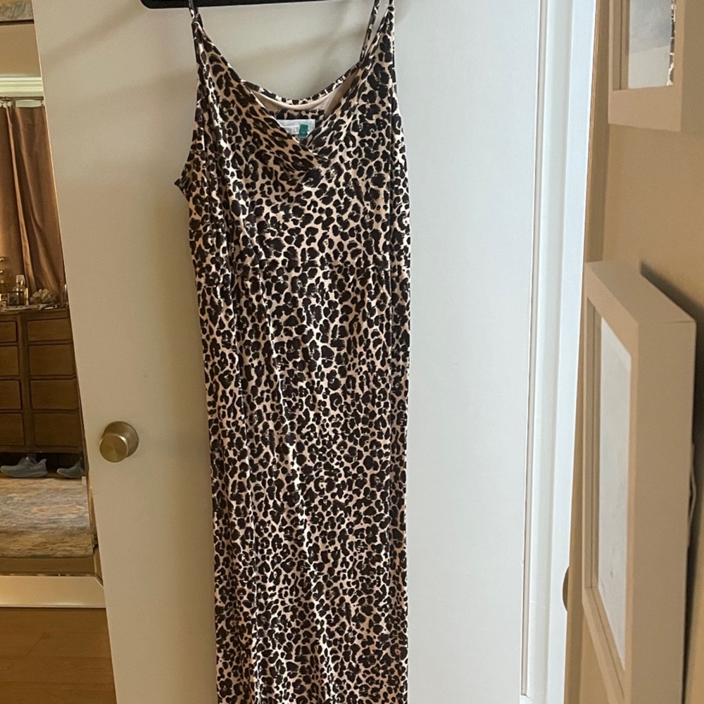 Anthropologie Leopard Print Maxi Dress